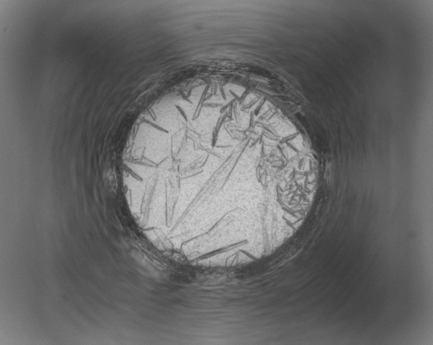 X0000080700771200701121750