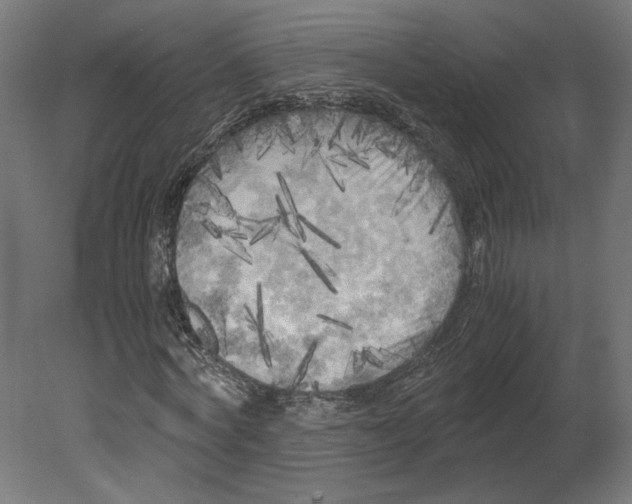 X0000080700772200701121750