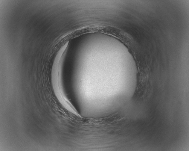 X0000080700773200701121750