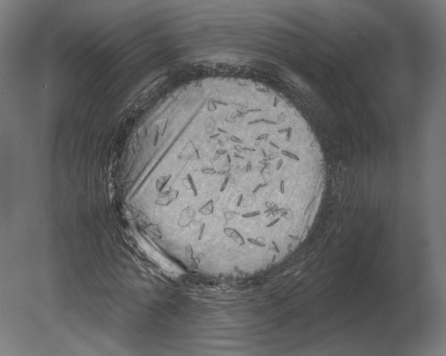 X0000080700774200701121750