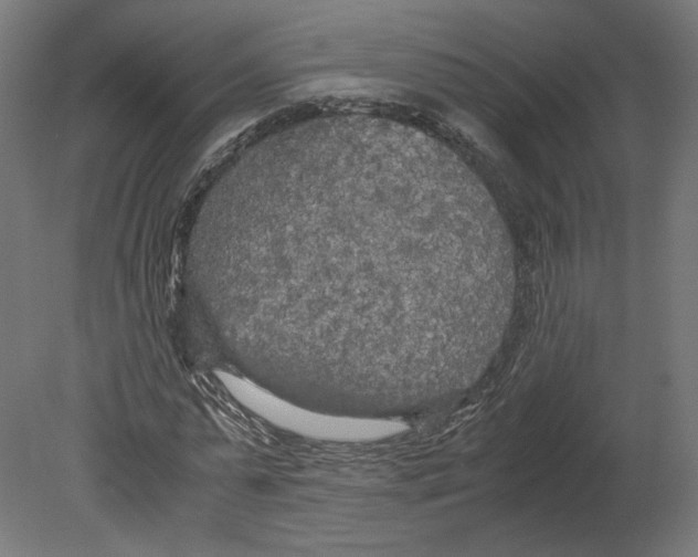 X0000080700775200701121750