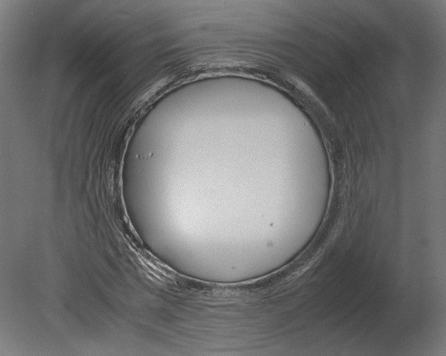 X0000080700777200701121750