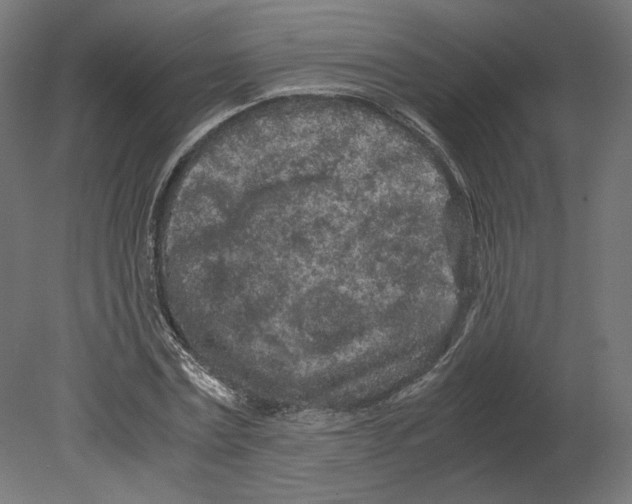 X0000080700779200701121750