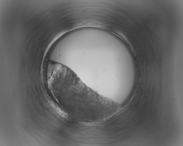 X0000080700780200701121750