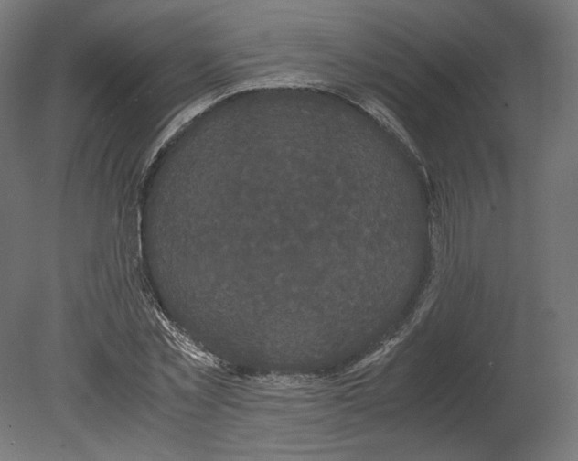 X0000080700781200701121750