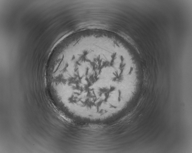 X0000080700782200701121750