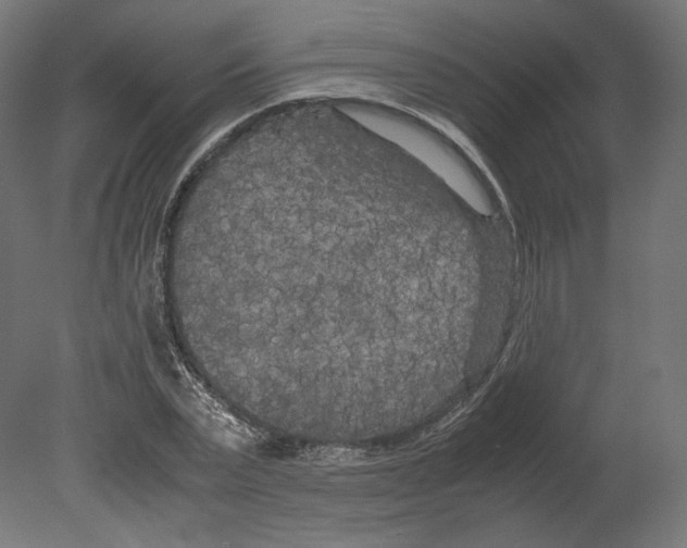 X0000080700783200701121750