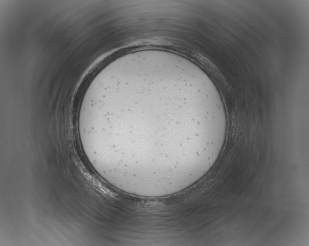 X0000080700784200701121750