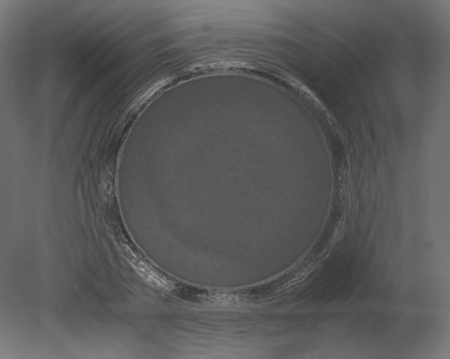 X0000080700785200701121750