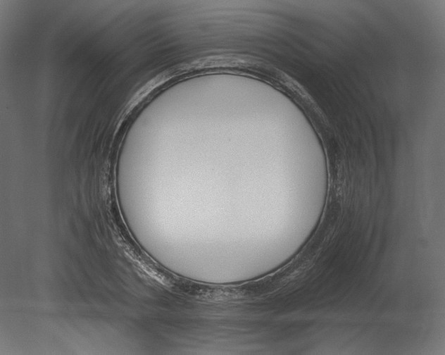 X0000080700786200701121750