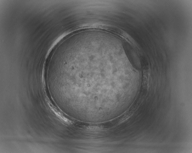 X0000080700788200701121750