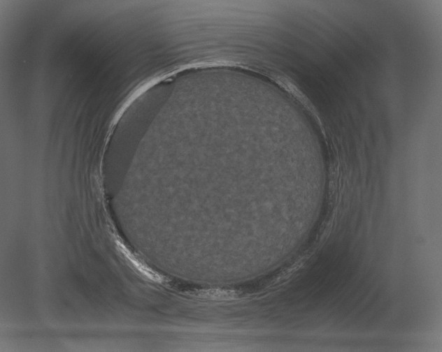 X0000080700789200701121750