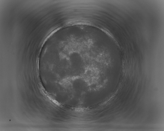 X0000080700790200701121750