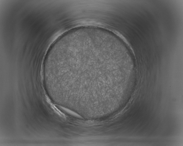 X0000080700791200701121750