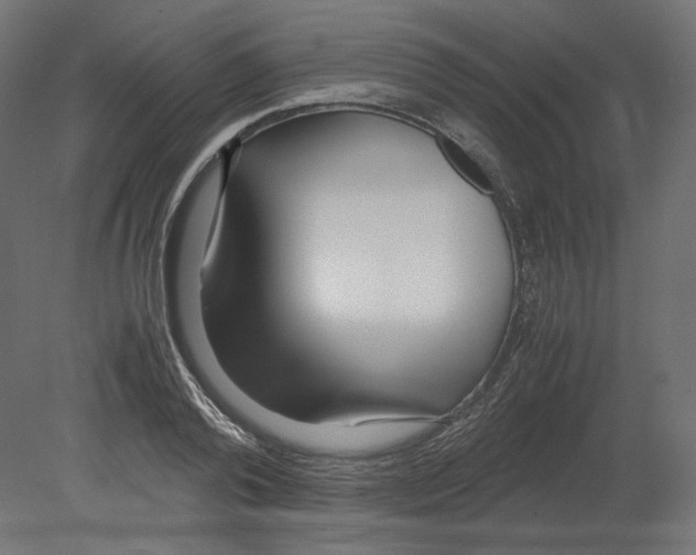 X0000080700792200701121750