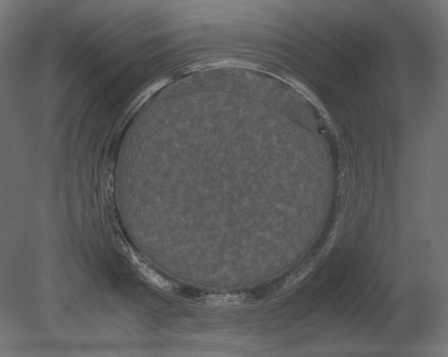 X0000080700793200701121750