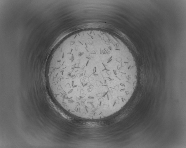 X0000080700794200701121750