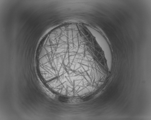 X0000080700795200701121750