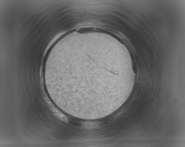 X0000080700796200701121750