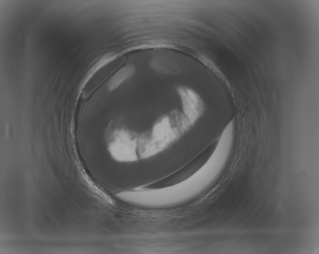 X0000080700797200701121750