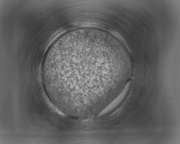 X0000080700798200701121750