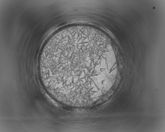 X0000080700799200701121750