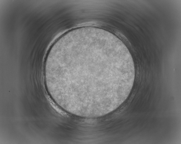 X0000080700800200701121750