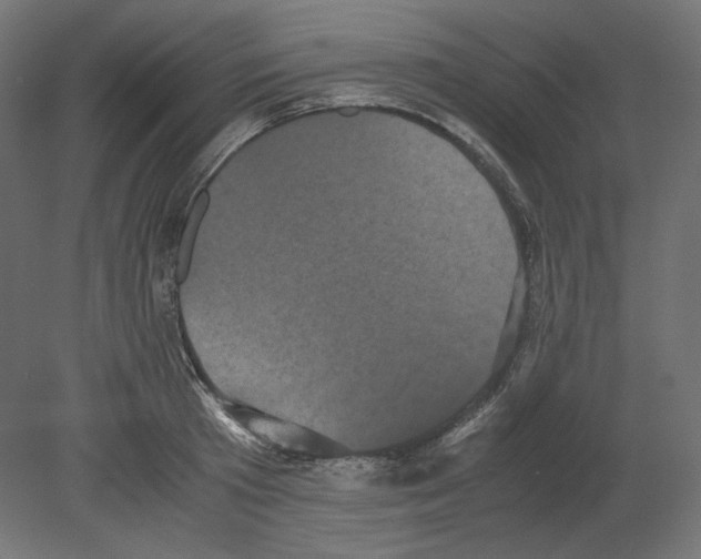 X0000080700801200701121750