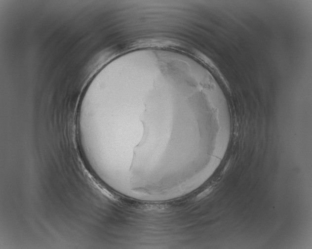 X0000080700802200701121750