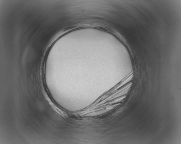 X0000080700803200701121750