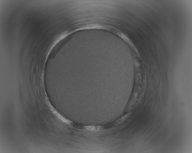 X0000080700805200701121750