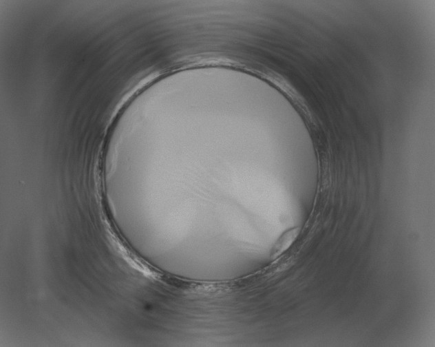 X0000080700806200701121750