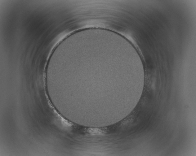 X0000080700807200701121750