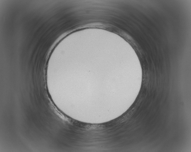 X0000080700808200701121750