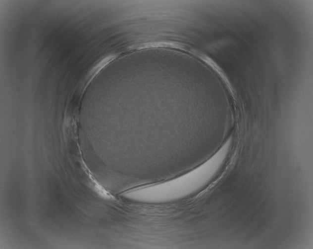 X0000080700809200701121750