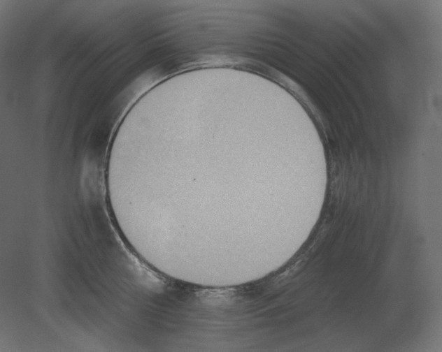 X0000080700810200701121750