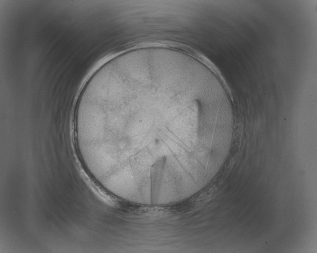 X0000080700811200701121749