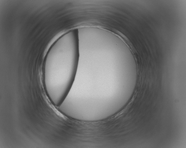 X0000080700812200701121749