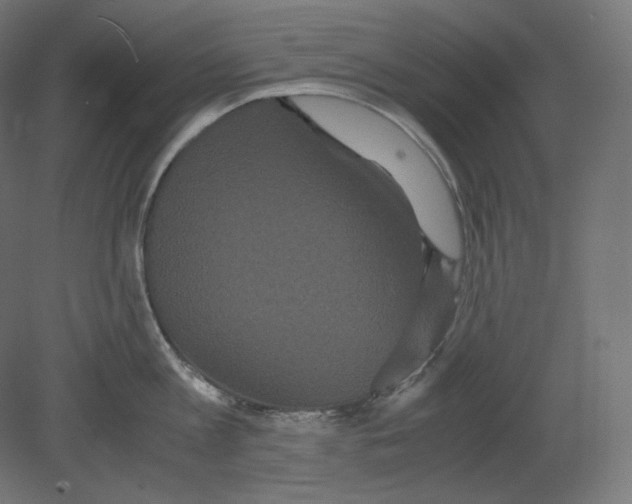 X0000080700813200701121749