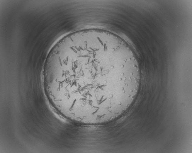 X0000080700814200701121749