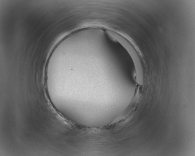 X0000080700815200701121749