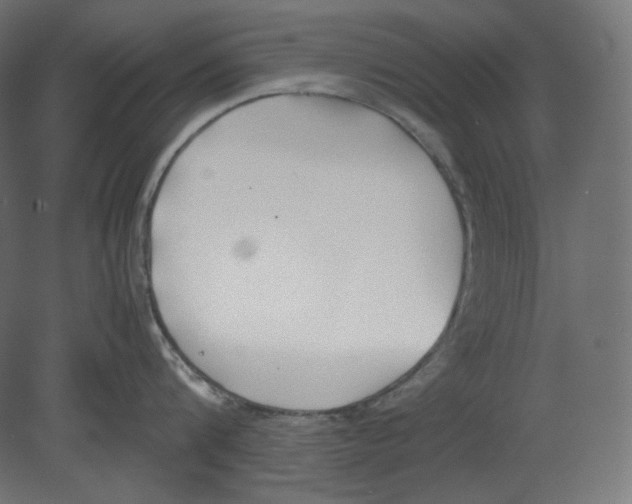 X0000080700816200701121749