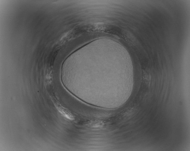 X0000080700818200701121749