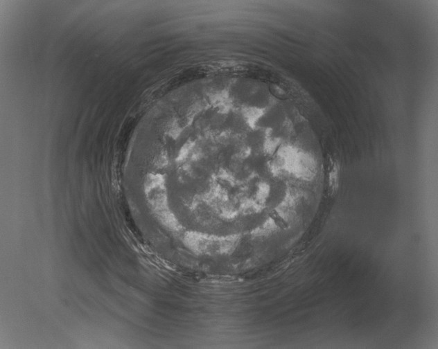 X0000080700819200701121749