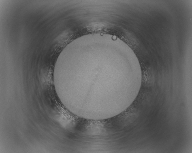 X0000080700820200701121749