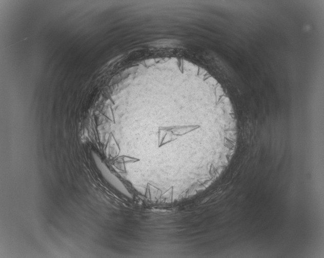 X0000080700821200701121749