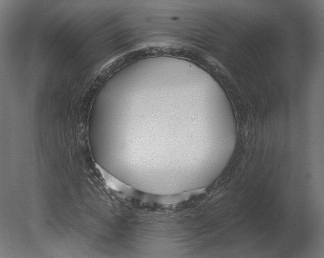 X0000080700822200701121749