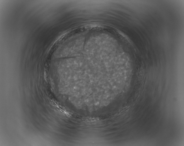 X0000080700823200701121749