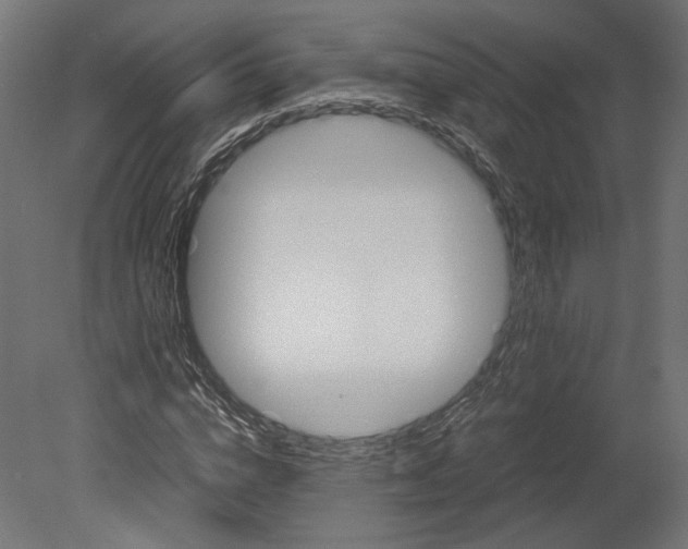 X0000080700824200701121749