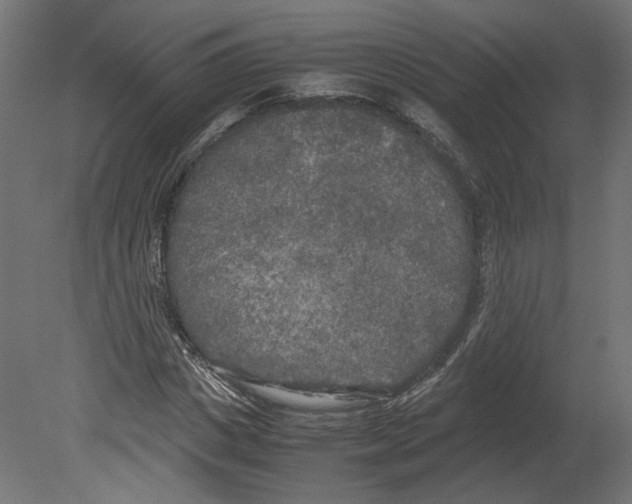 X0000080700825200701121749